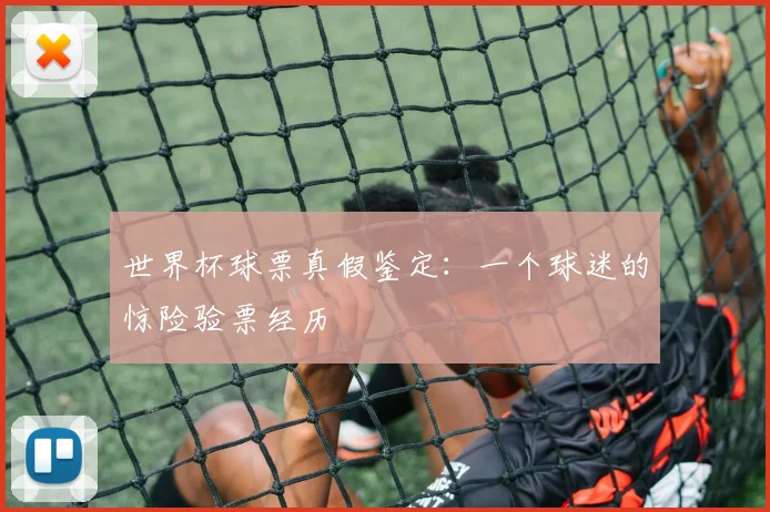 世界杯球票真假鉴定:一个球迷的惊险验票经历