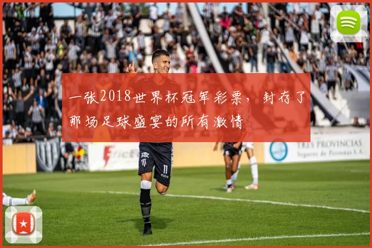 一张2018世界杯冠军彩票,封存了那场足球盛宴的所有激情