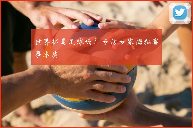 世界杯是足球吗？专访专家揭秘赛事本质