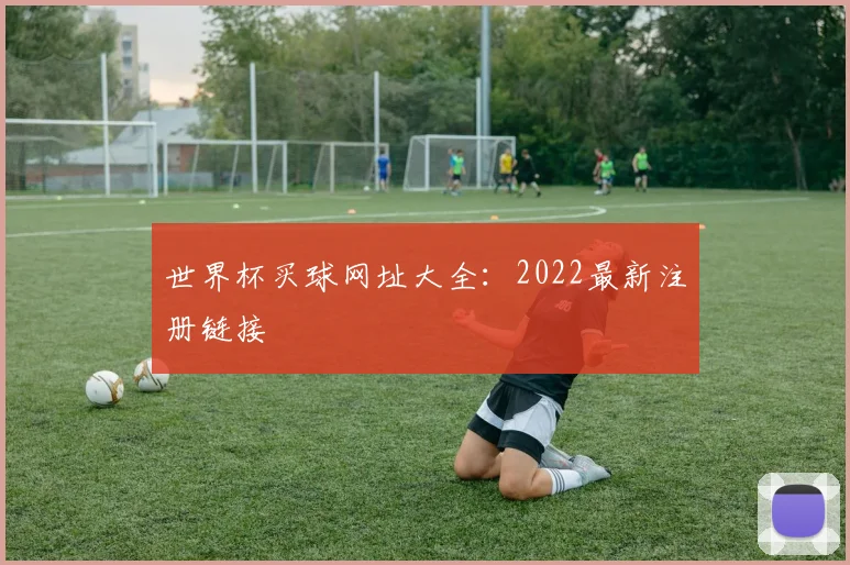 世界杯买球网址大全:2022最新注册链接
