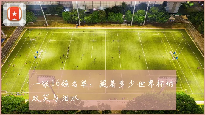 一张16强名单，藏着多少世界杯的欢笑与泪水