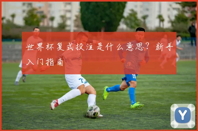 世界杯复式投注是什么意思?新手入门指南