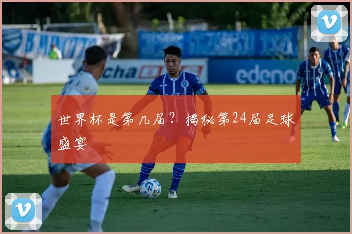 世界杯是第几届？揭秘第24届足球盛宴