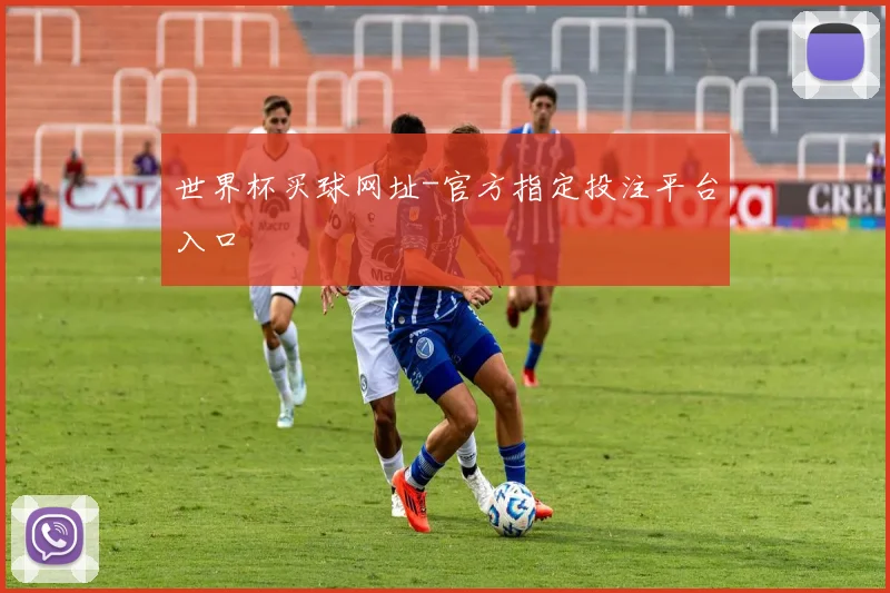 世界杯买球网址-官方指定投注平台入口