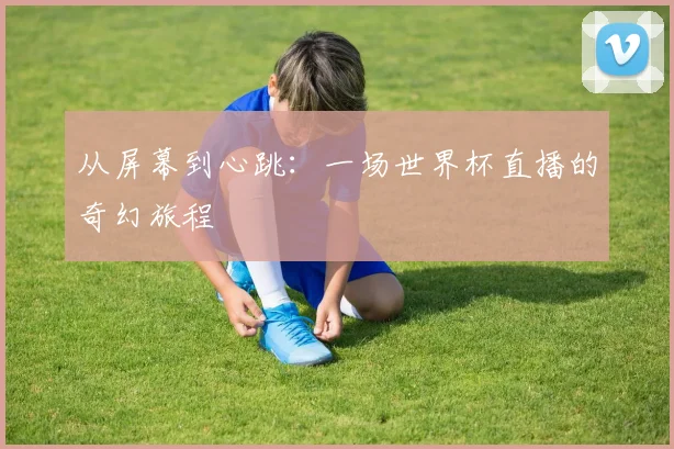 从屏幕到心跳:一场世界杯直播的奇幻旅程
