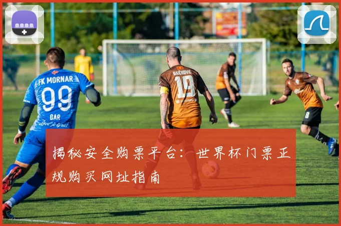 揭秘安全购票平台:世界杯门票正规购买网址指南